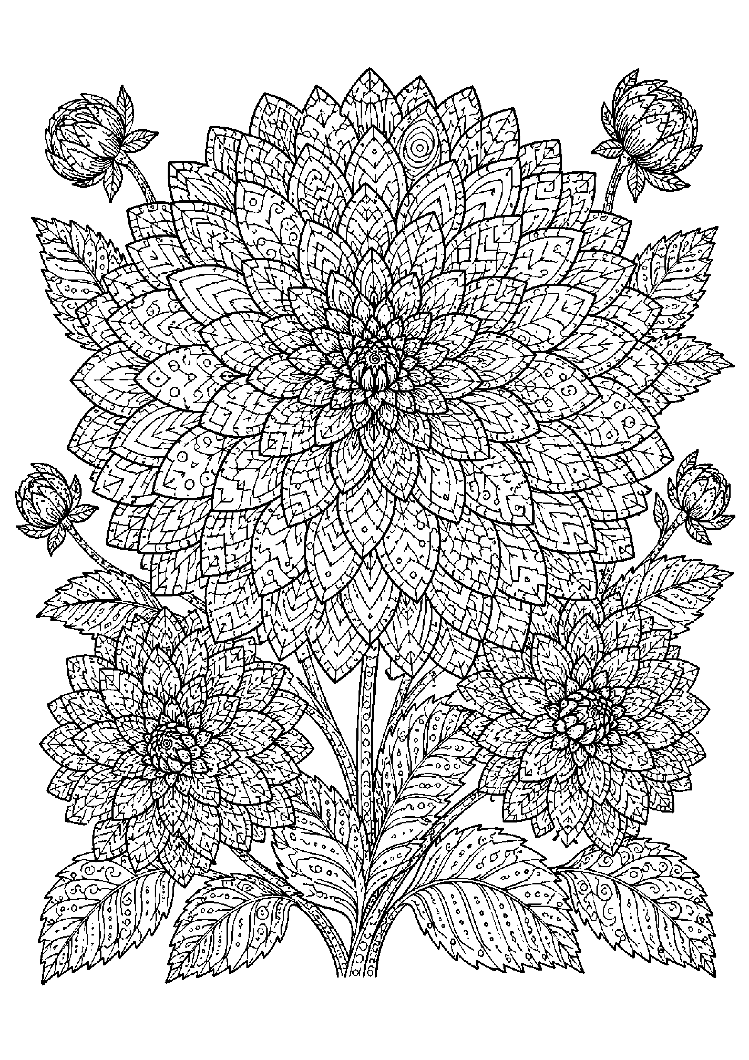 Coloriage zentangle floral à imprimer – dessin n°16