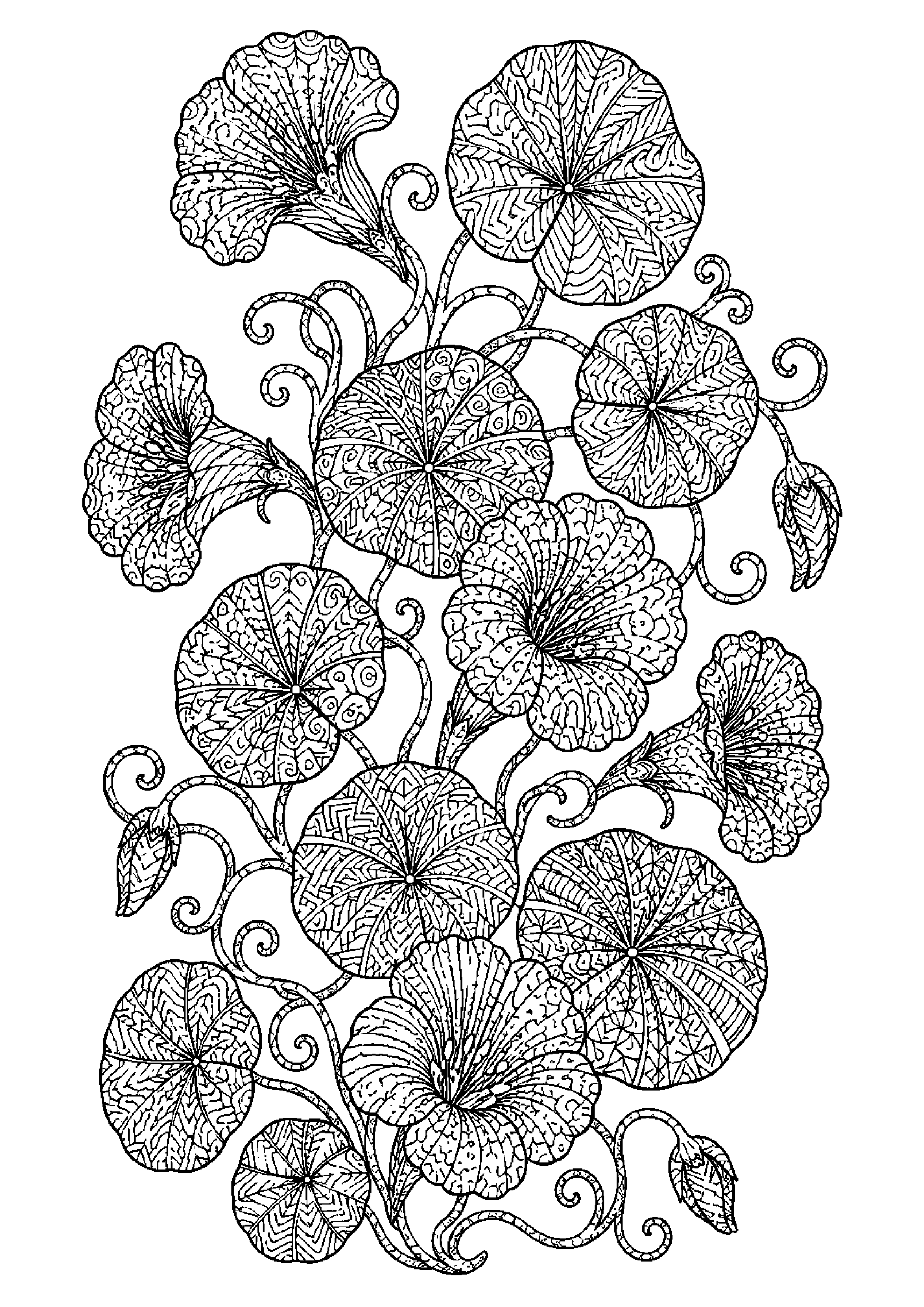 Coloriage zentangle floral à imprimer – dessin n°19