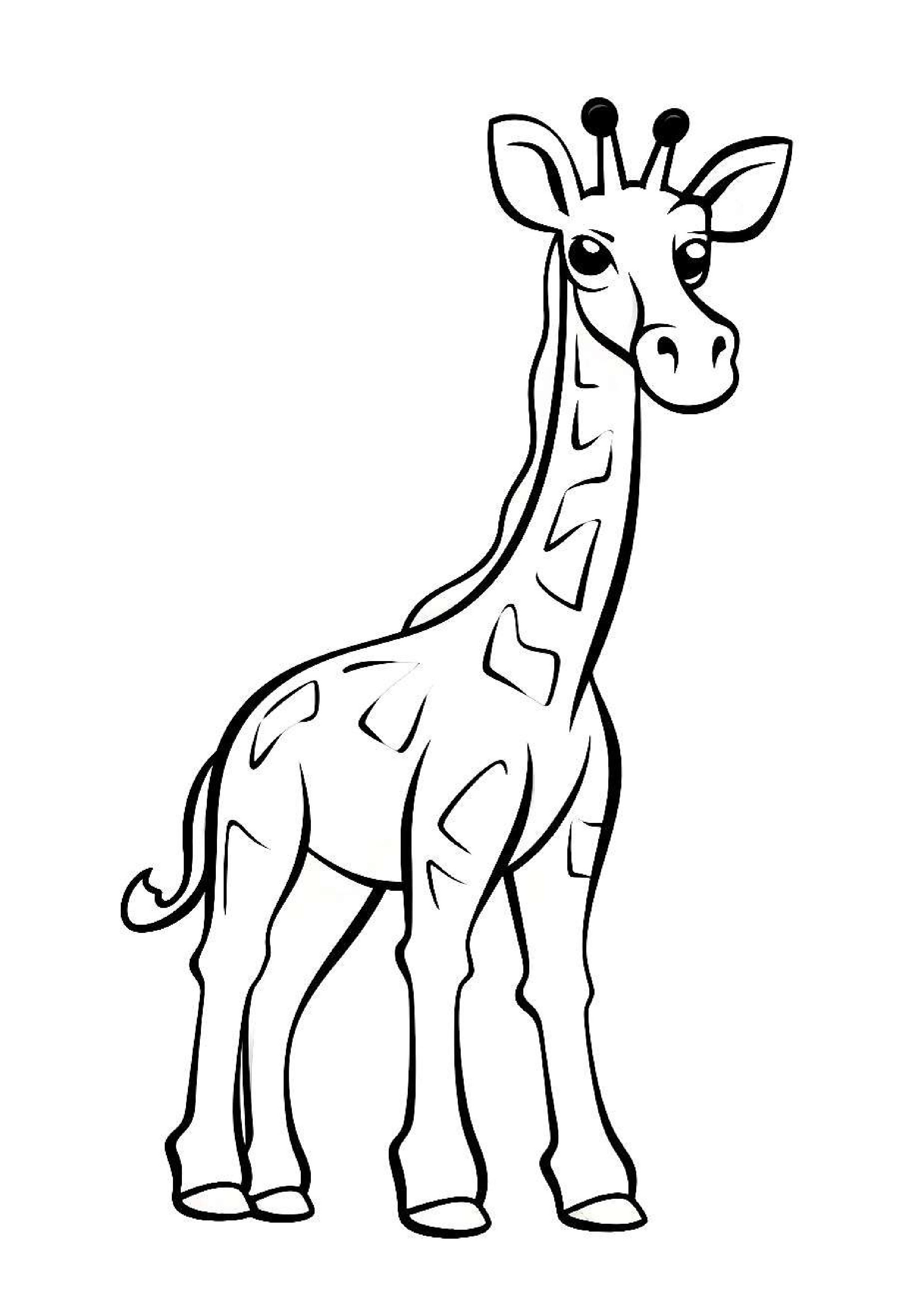 coloriage-girafe