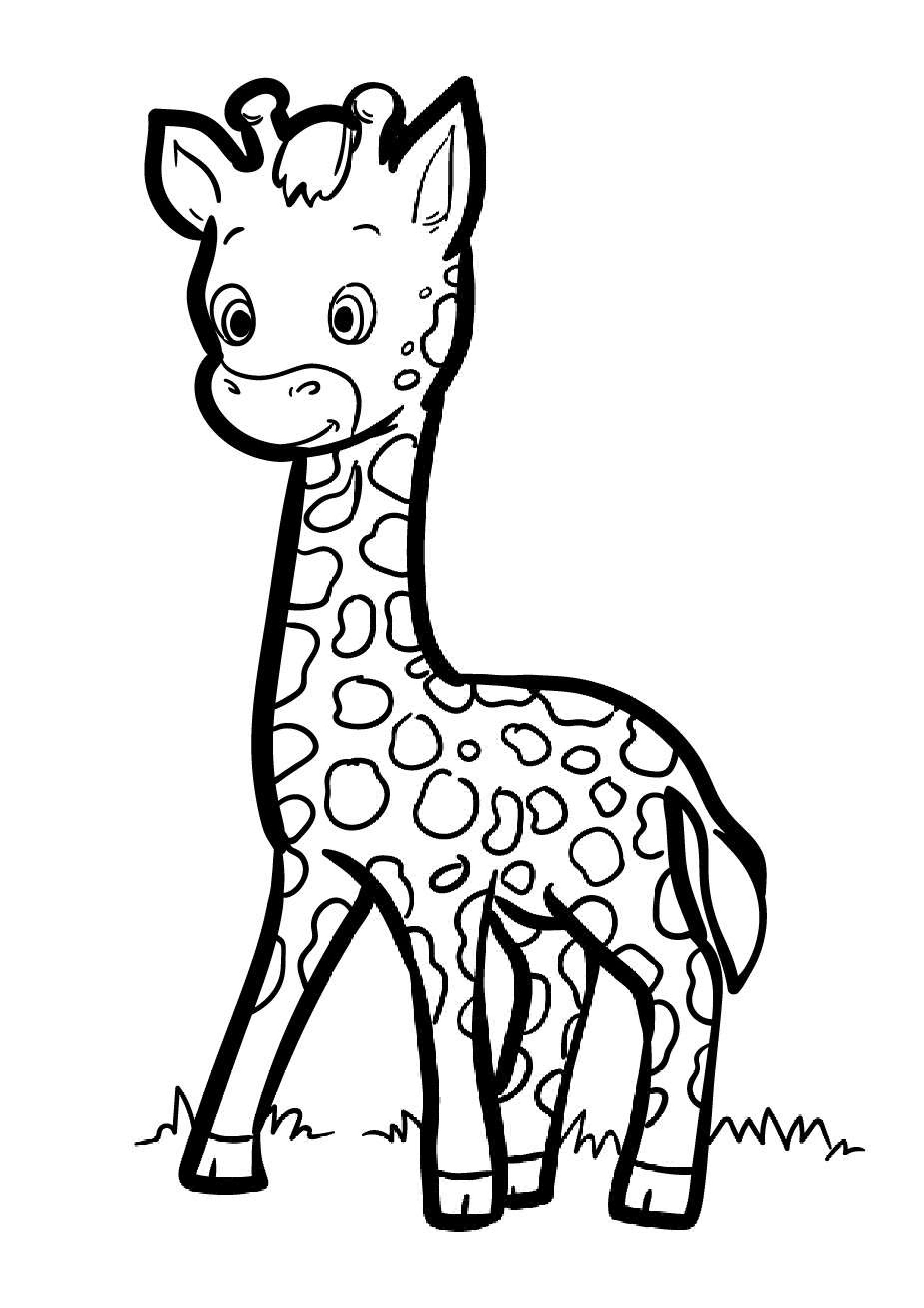 coloriage-girafe