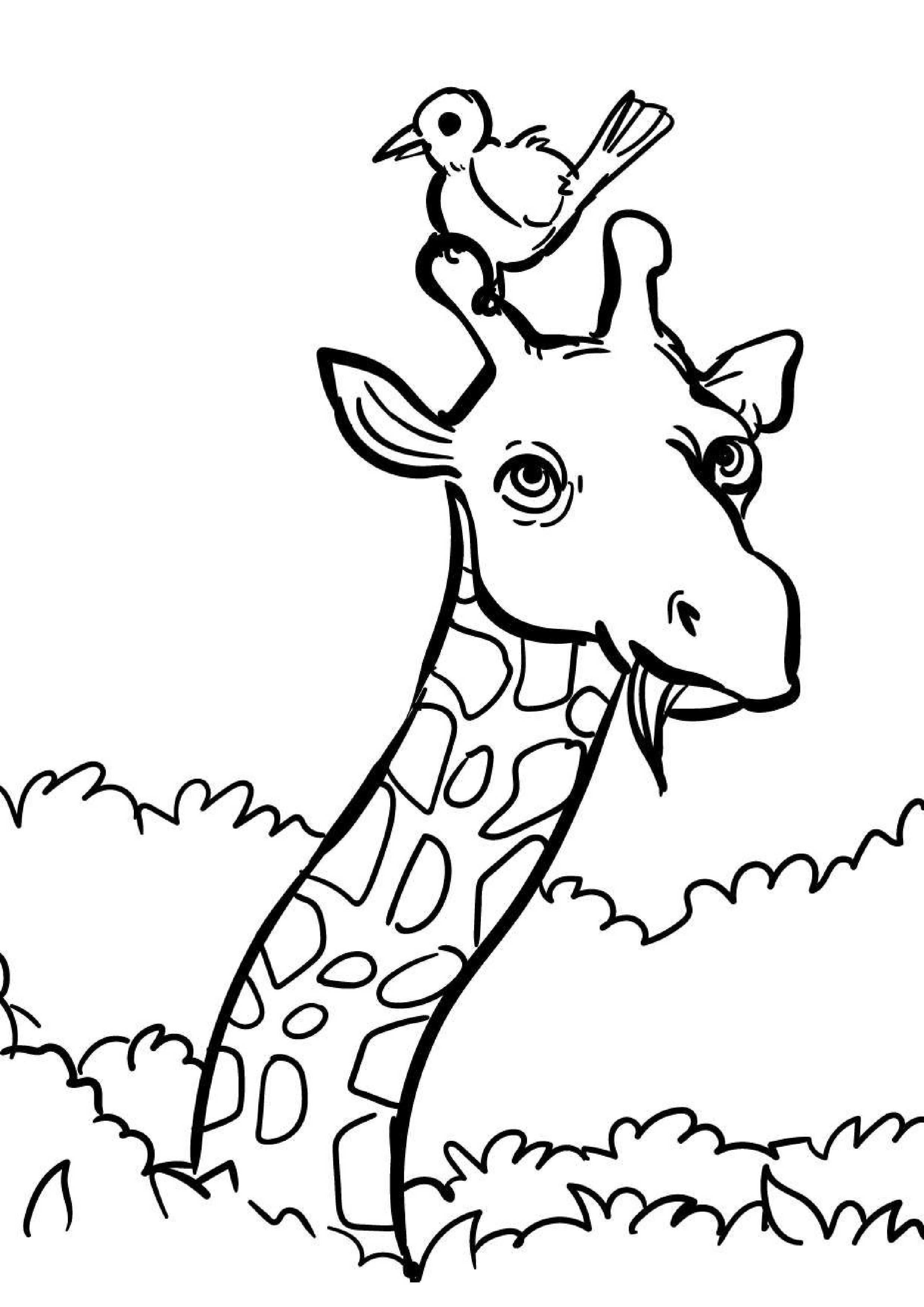 coloriage-girafe
