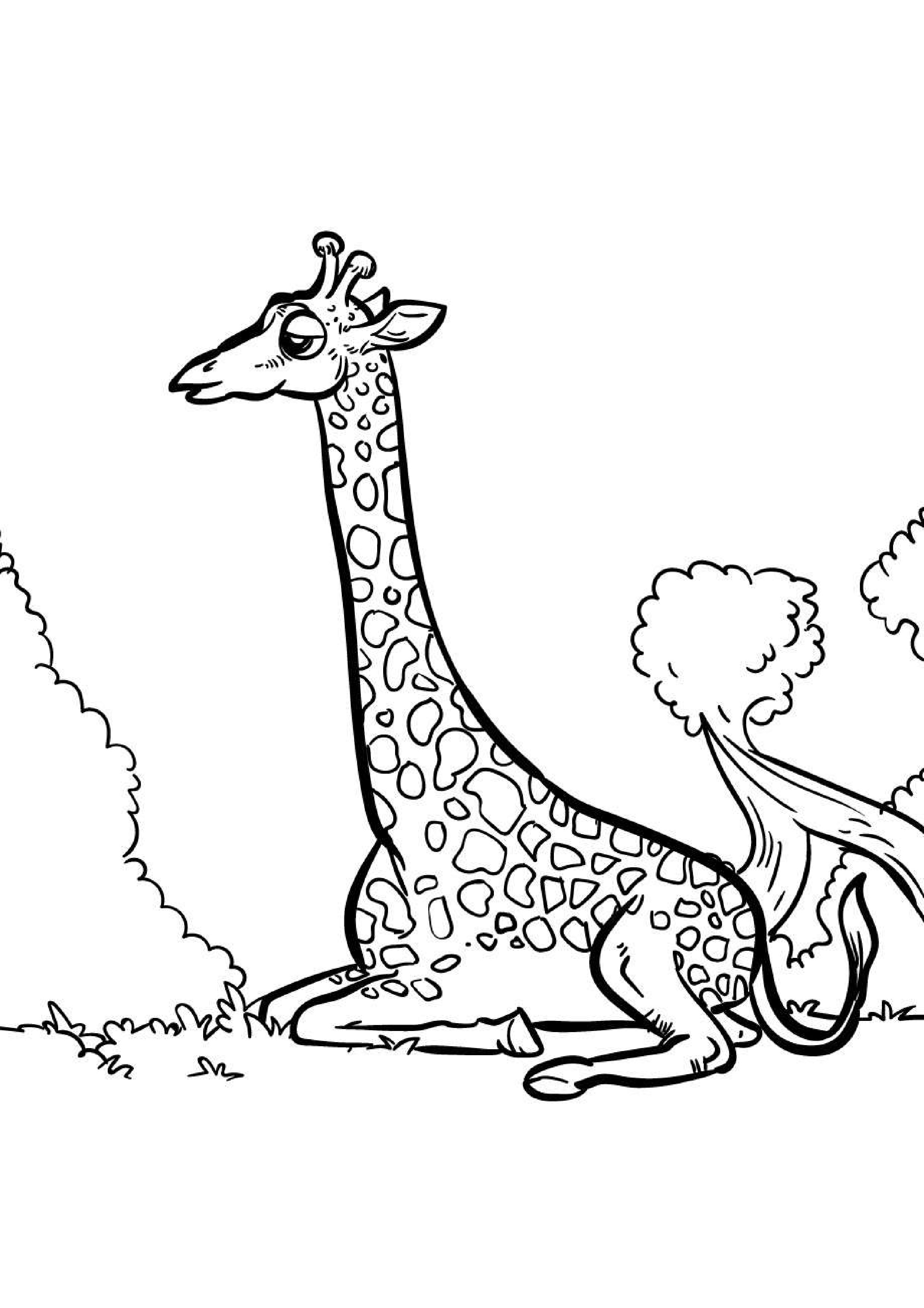 coloriage-girafe