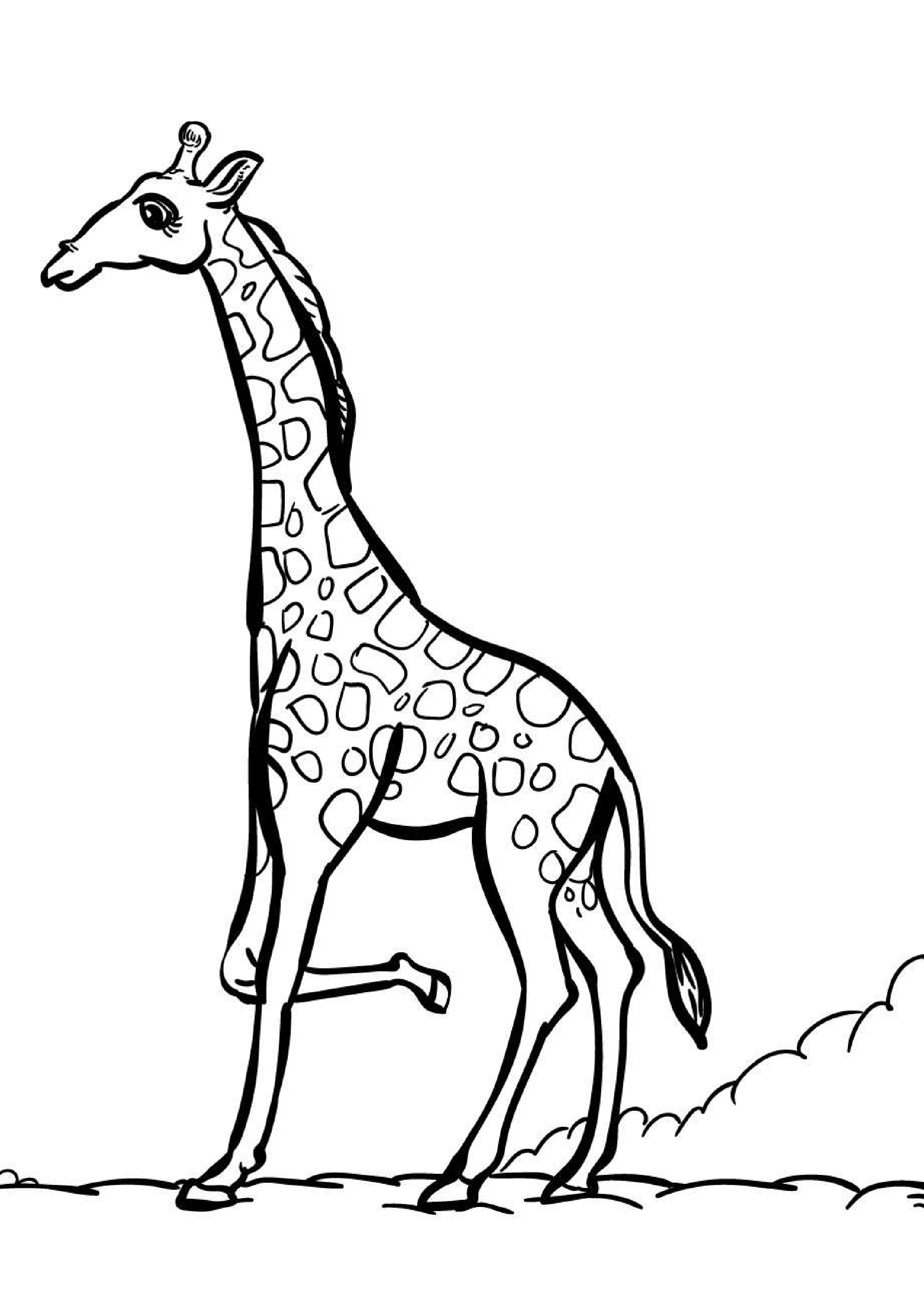 coloriage-girafe
