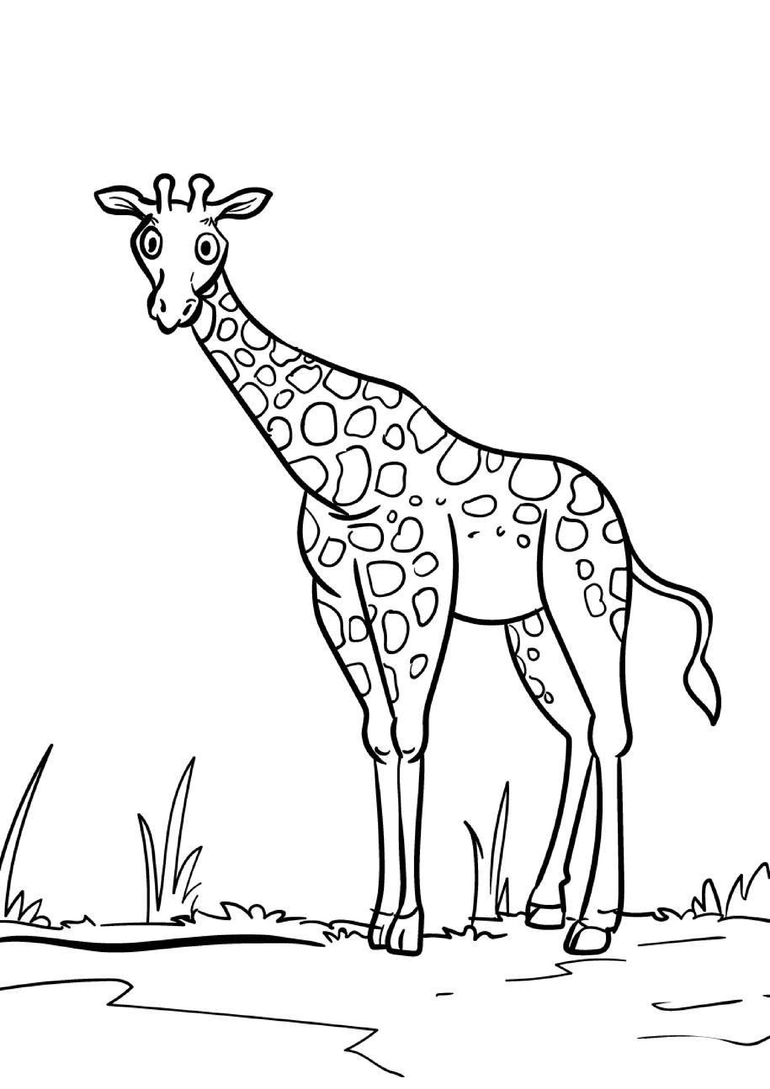 coloriage-girafe