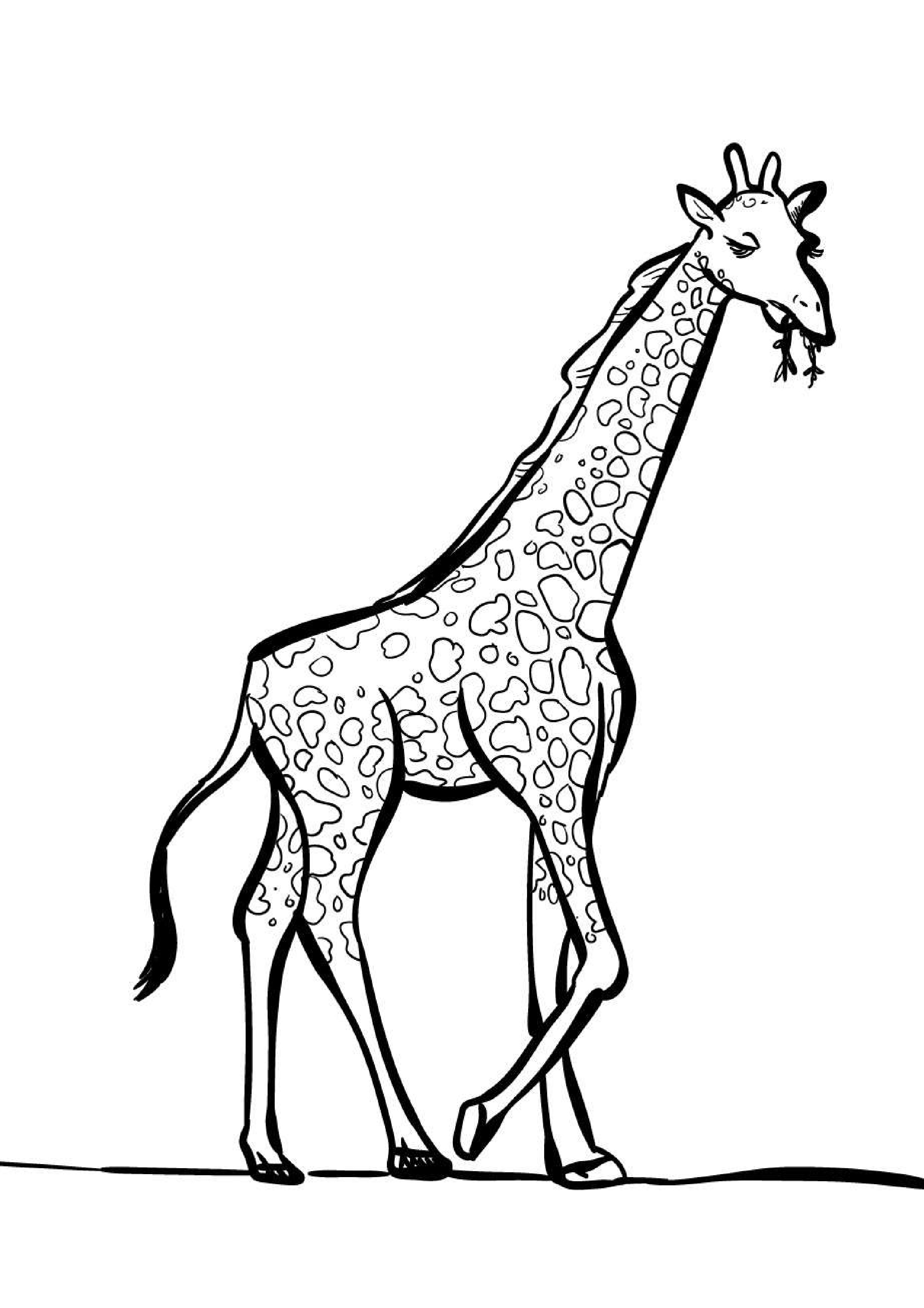 coloriage-girafe