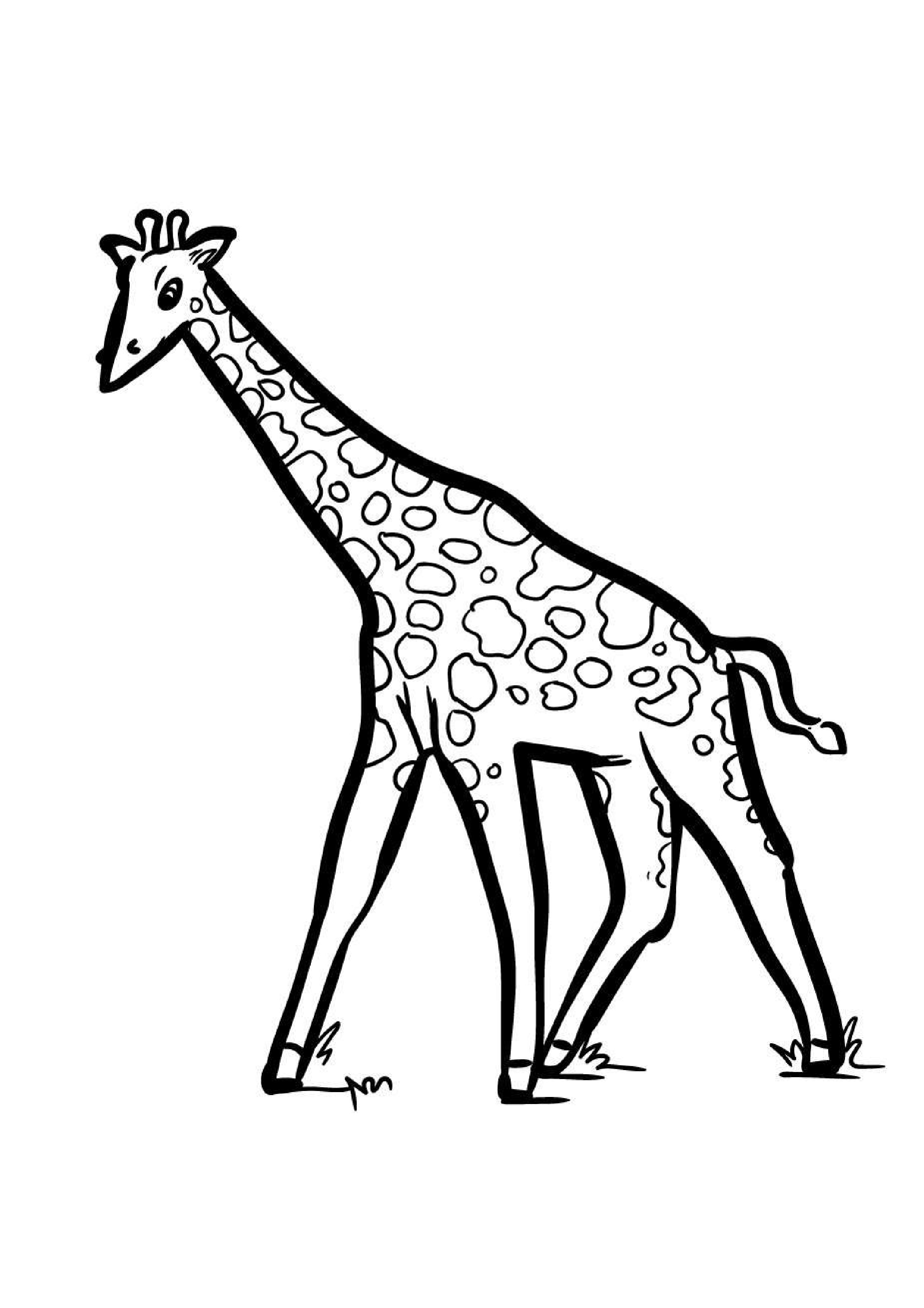 coloriage-girafe