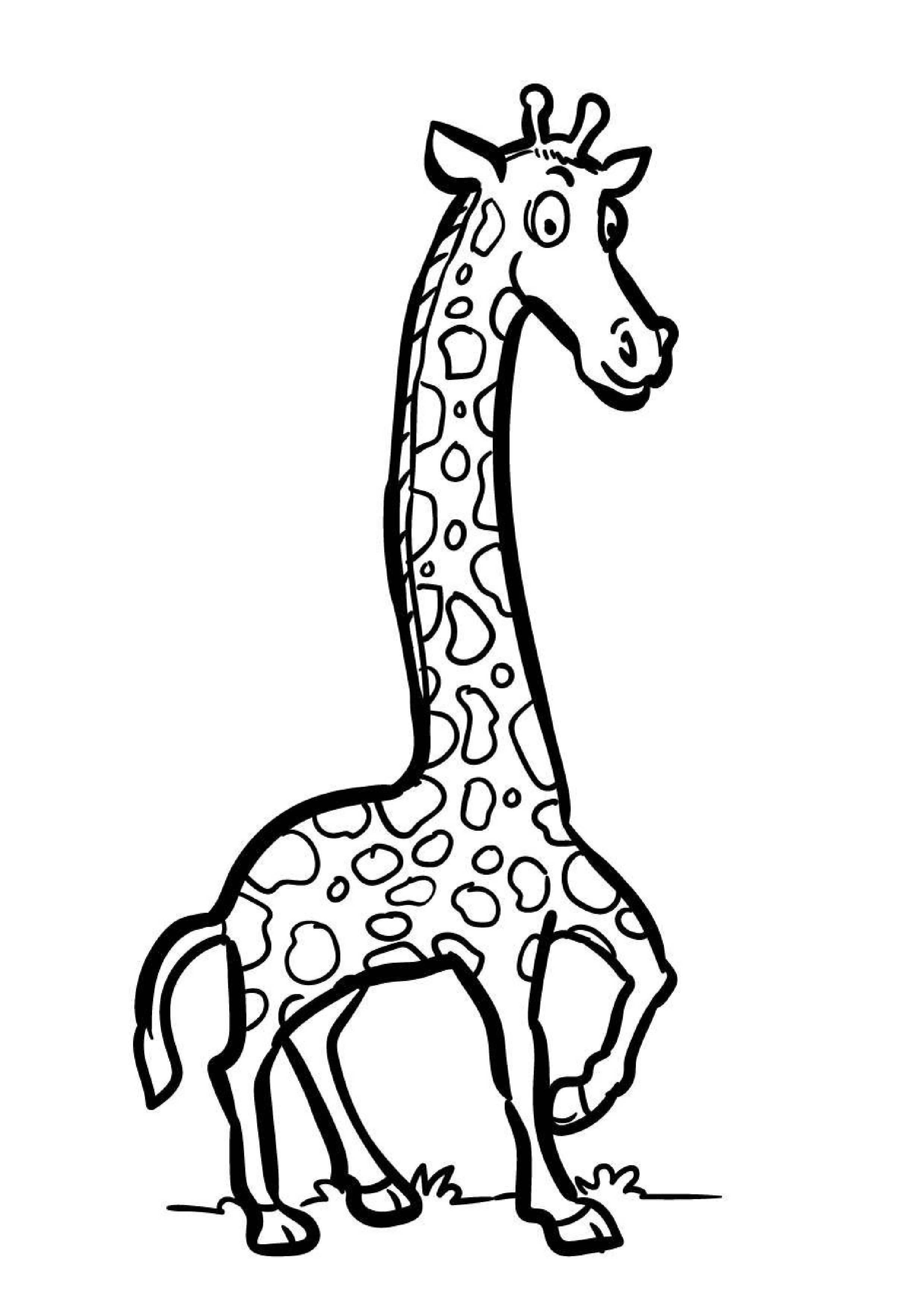 coloriage-girafe