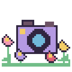 Pixel art Appareil photo dans le jardin, grille 40 × 40