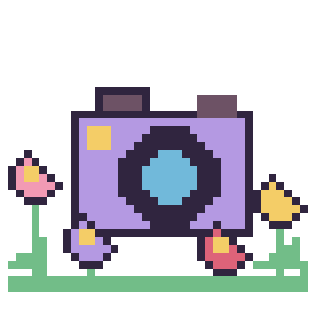 Modèle de pixel art Appareil photo dans le jardin sur une grille de 40 par 40 cases