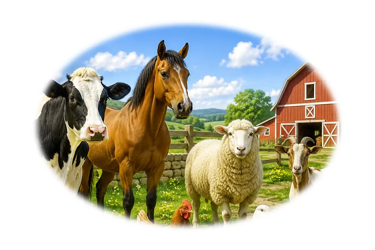 Défi rapide : Animaux de la ferme – 6-8 ans