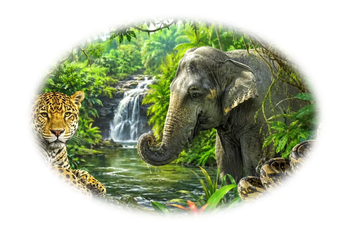 Quiz approfondi : Animaux de la jungle – 10-12 ans