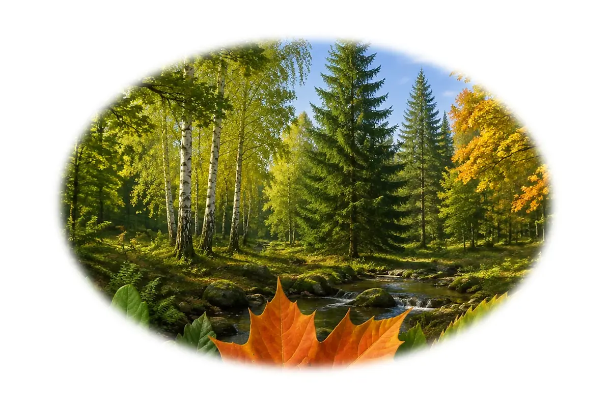 Défi rapide : Arbres et feuilles – 6-8 ans