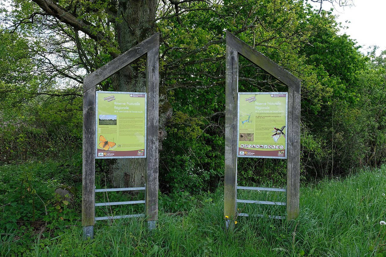 Réserve naturelle régionale - Zone humide du Moulin
