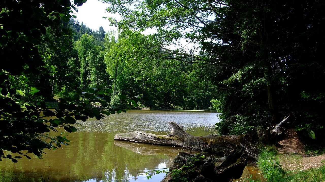 Arboretum Domanial de Pézanin