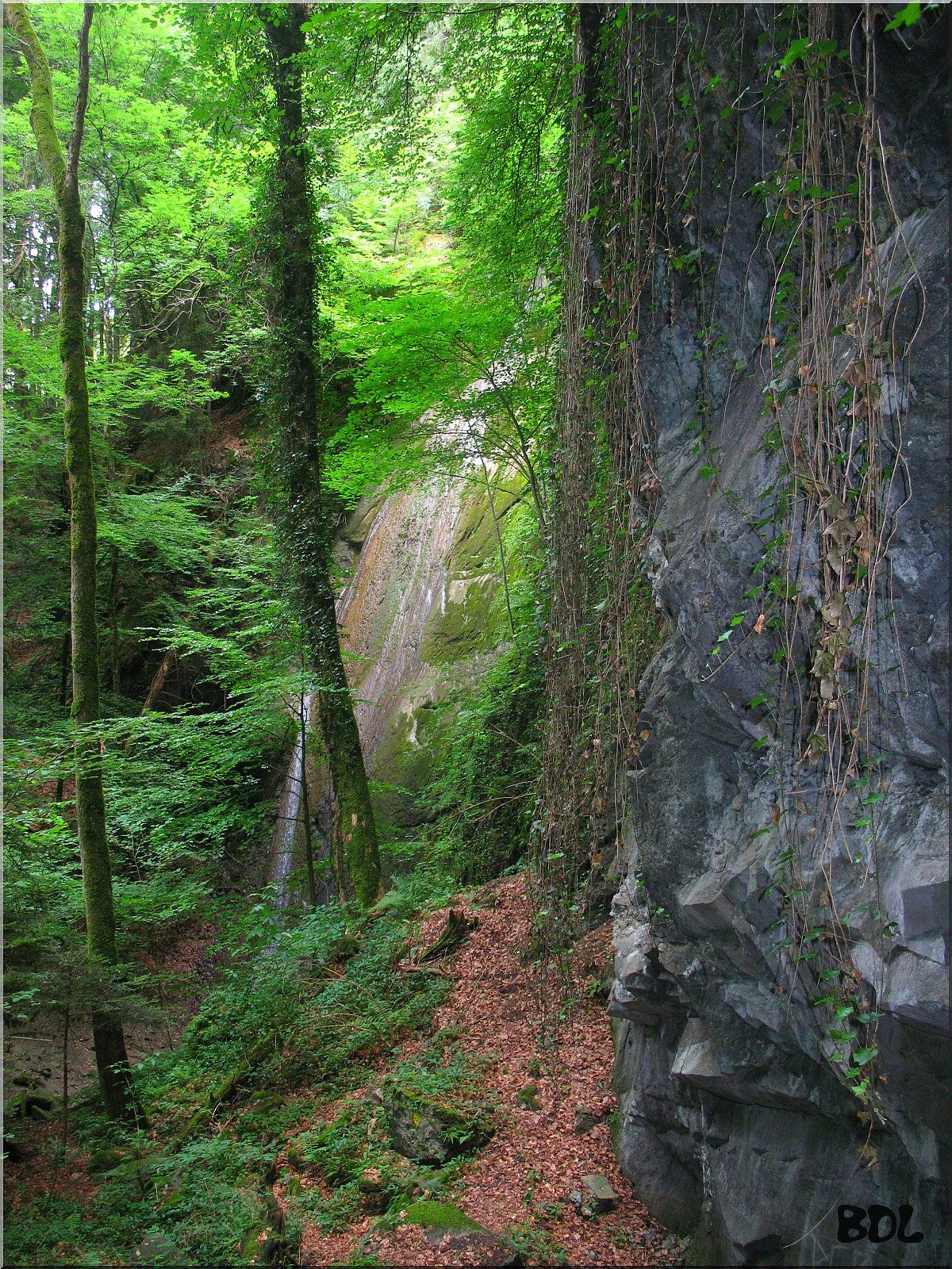 Cascade de Pisse-Vache à Matafelon-Granges