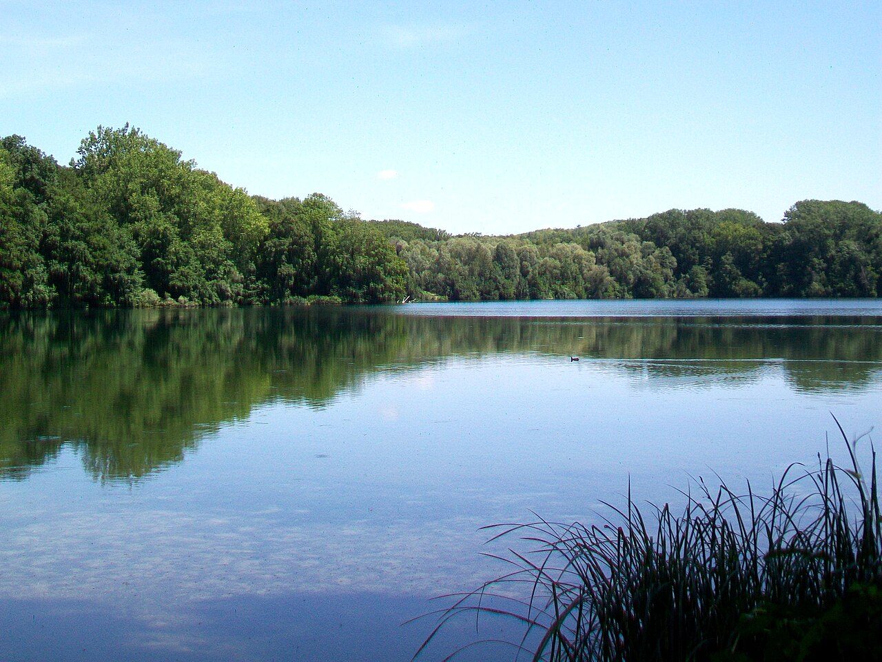 Marais de Chantraine