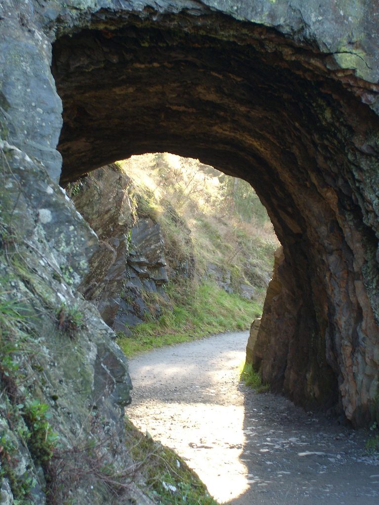 Parc de la Garenne à Suze-la-Rousse