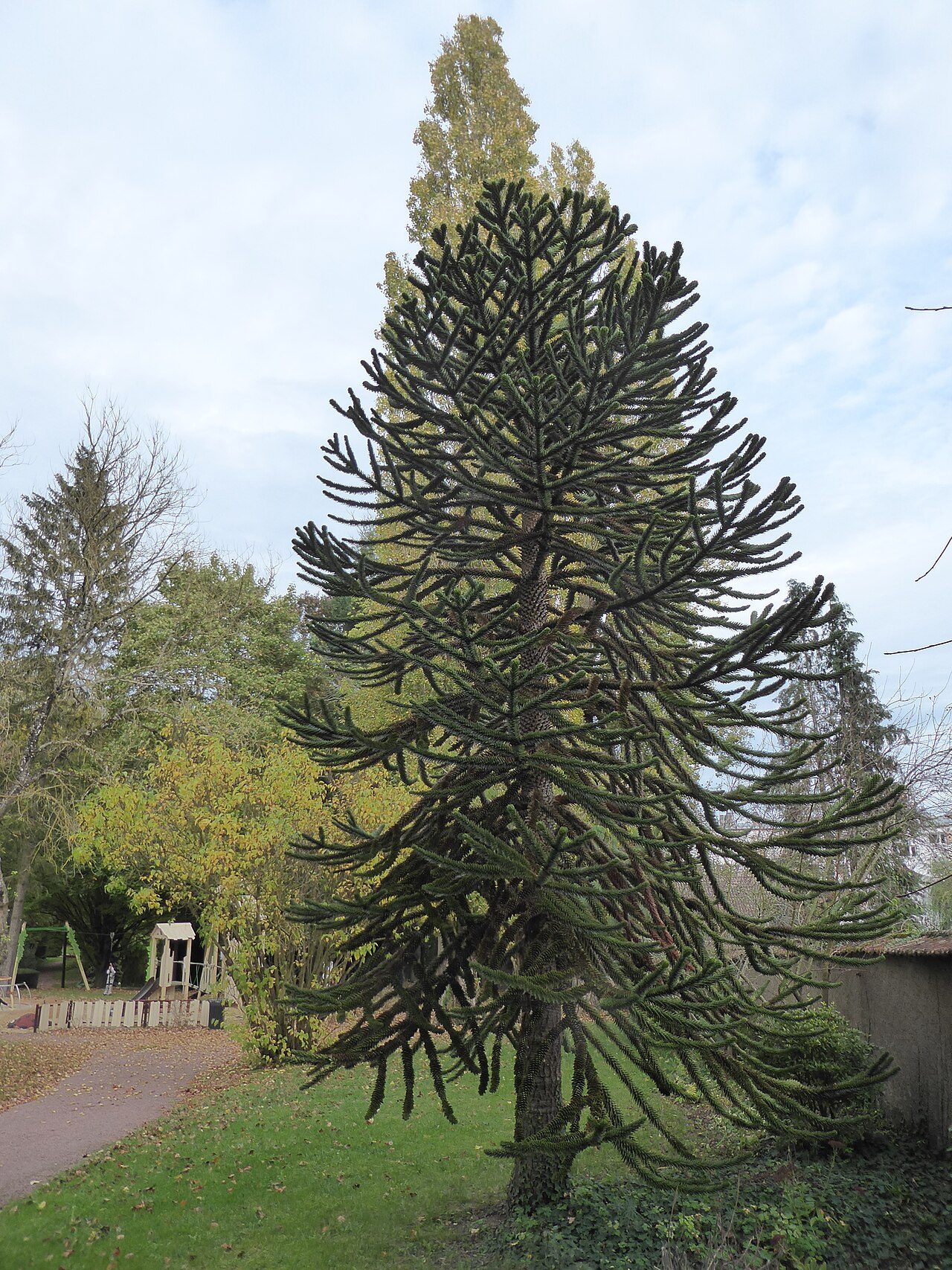 Jardin d'Horticulture