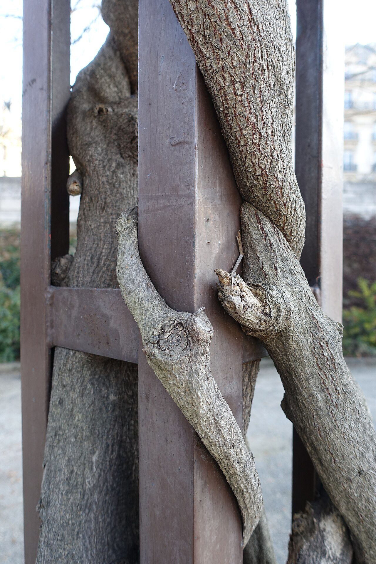 Jardin du Port de l'Arsenal à Paris