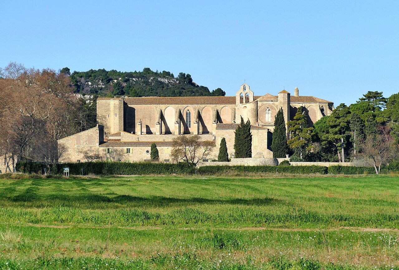 LA PLAINE DE VILLEVEYRAC-MONTAGNAC à Villeveyrac