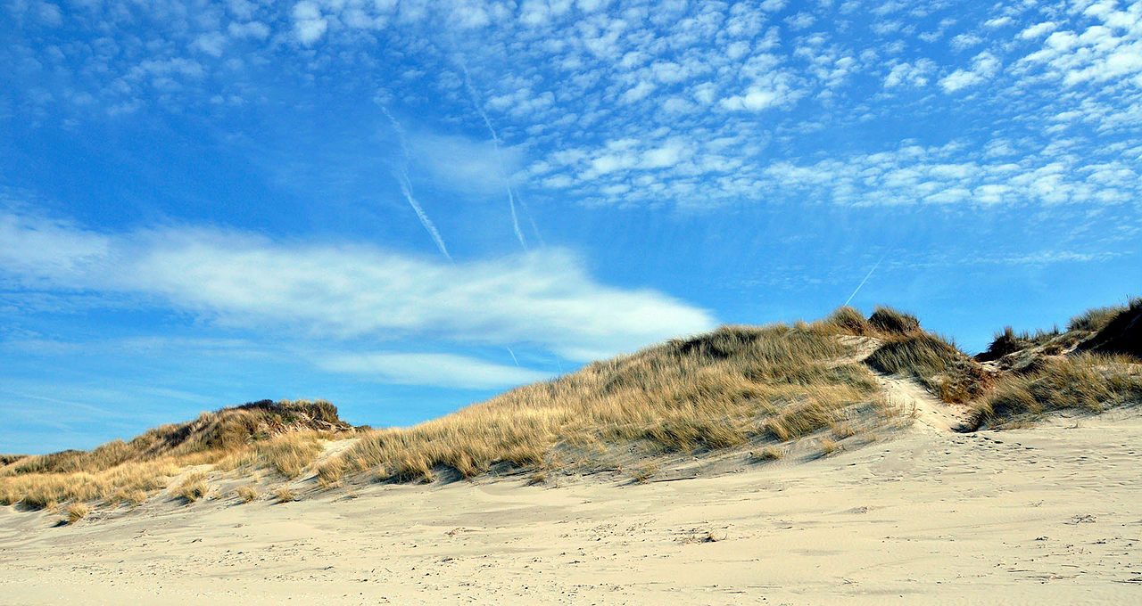 Réserve Naturelle Nationale Dune Marchand