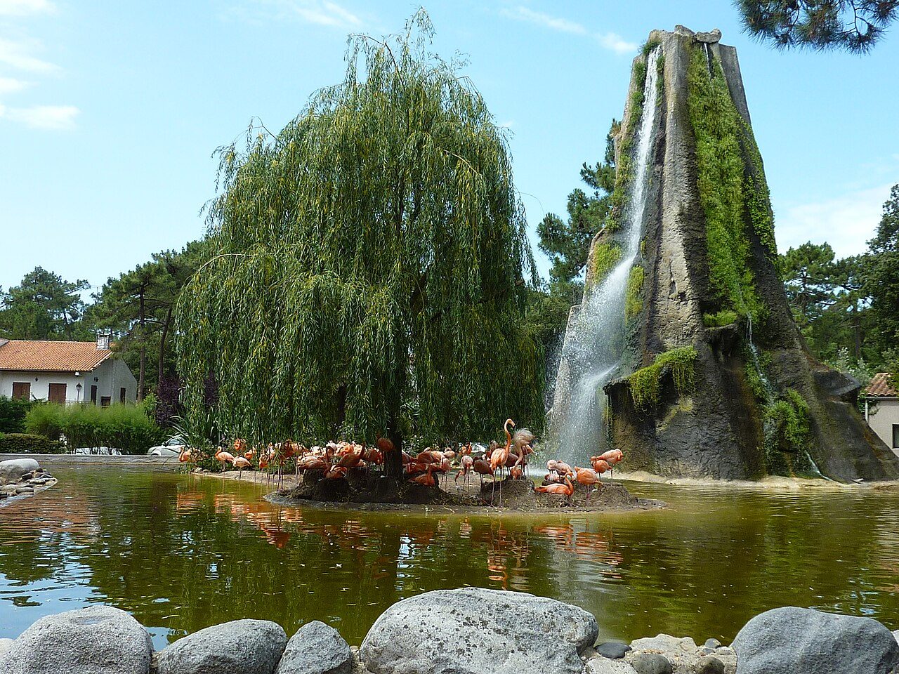 Zoo de La Palmyre à Les Mathes