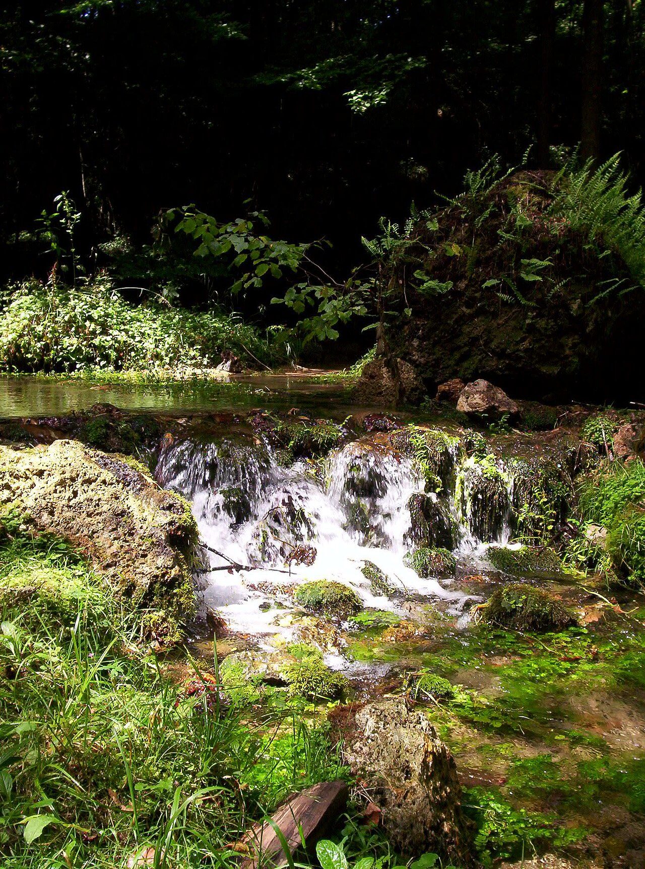 Le Parc du Sourdon à Saint-Martin-d'Ablois