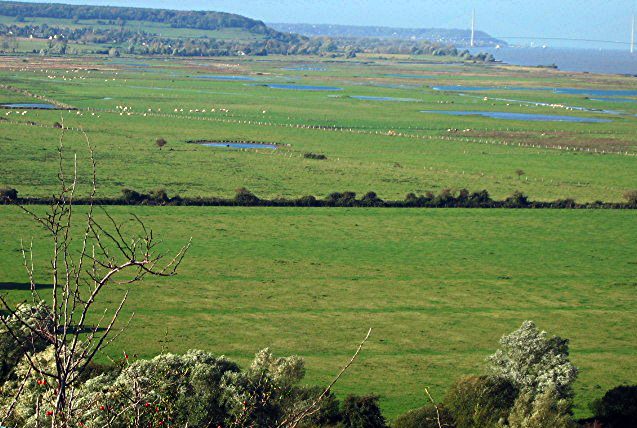 La Réserve Naturelle Nationale du Marais Vernier