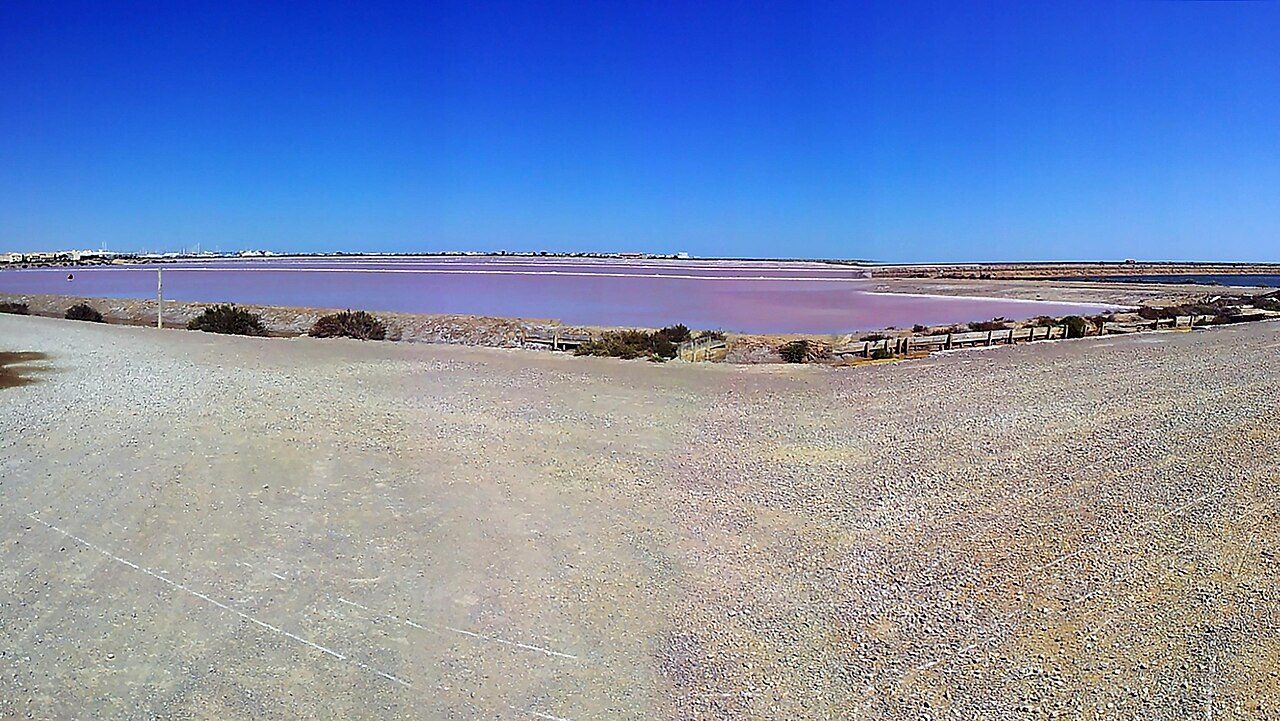 LE SALIN DE L'ÎLE SAINT-MARTIN