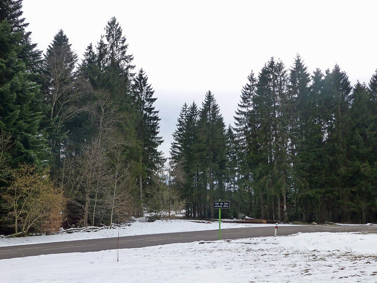 Arboretum du col du Las à La Grande-Fosse