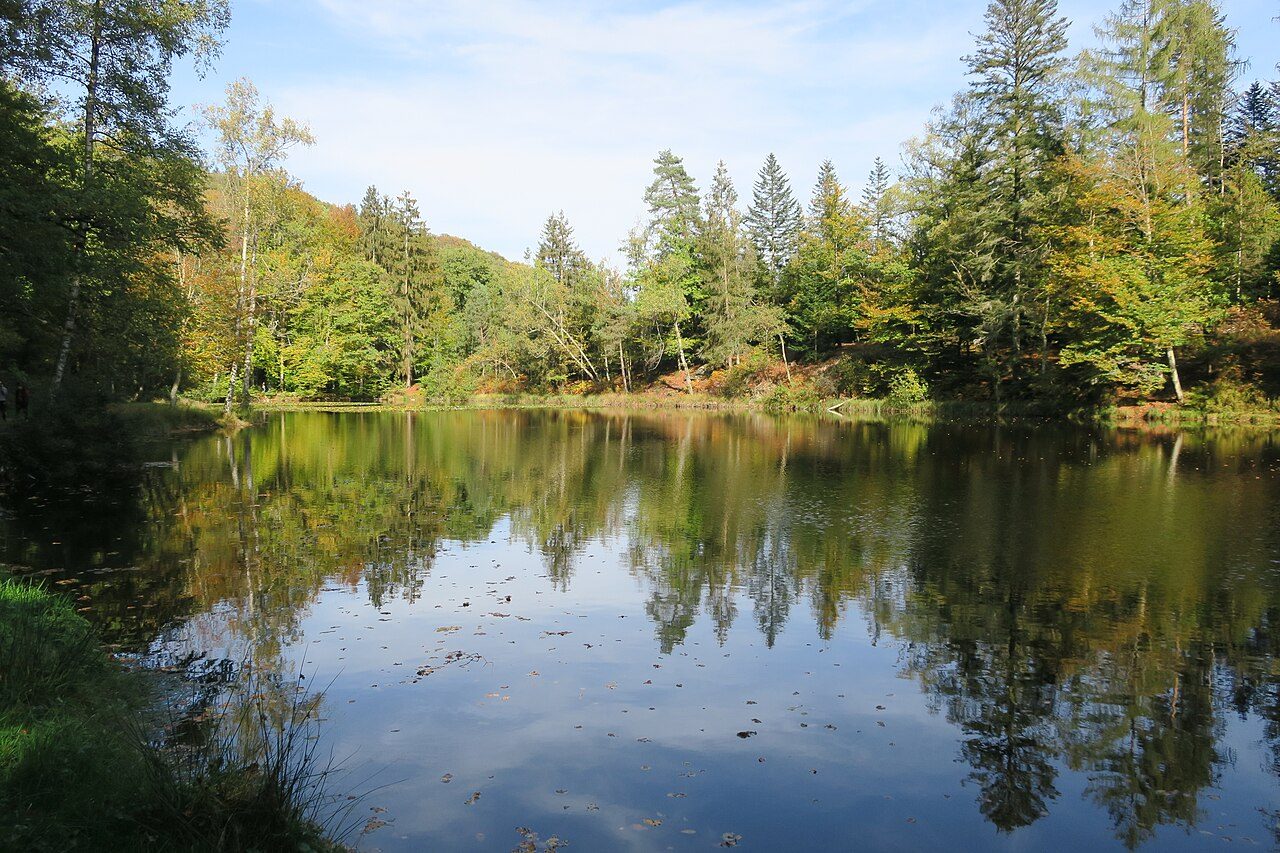 Étang de Huchère à Saint-Nabord