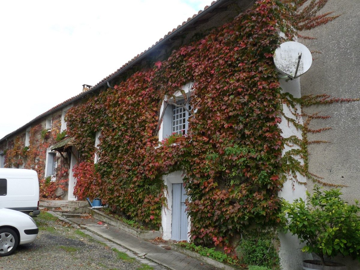 Moulin sartier à Salles-Lavalette