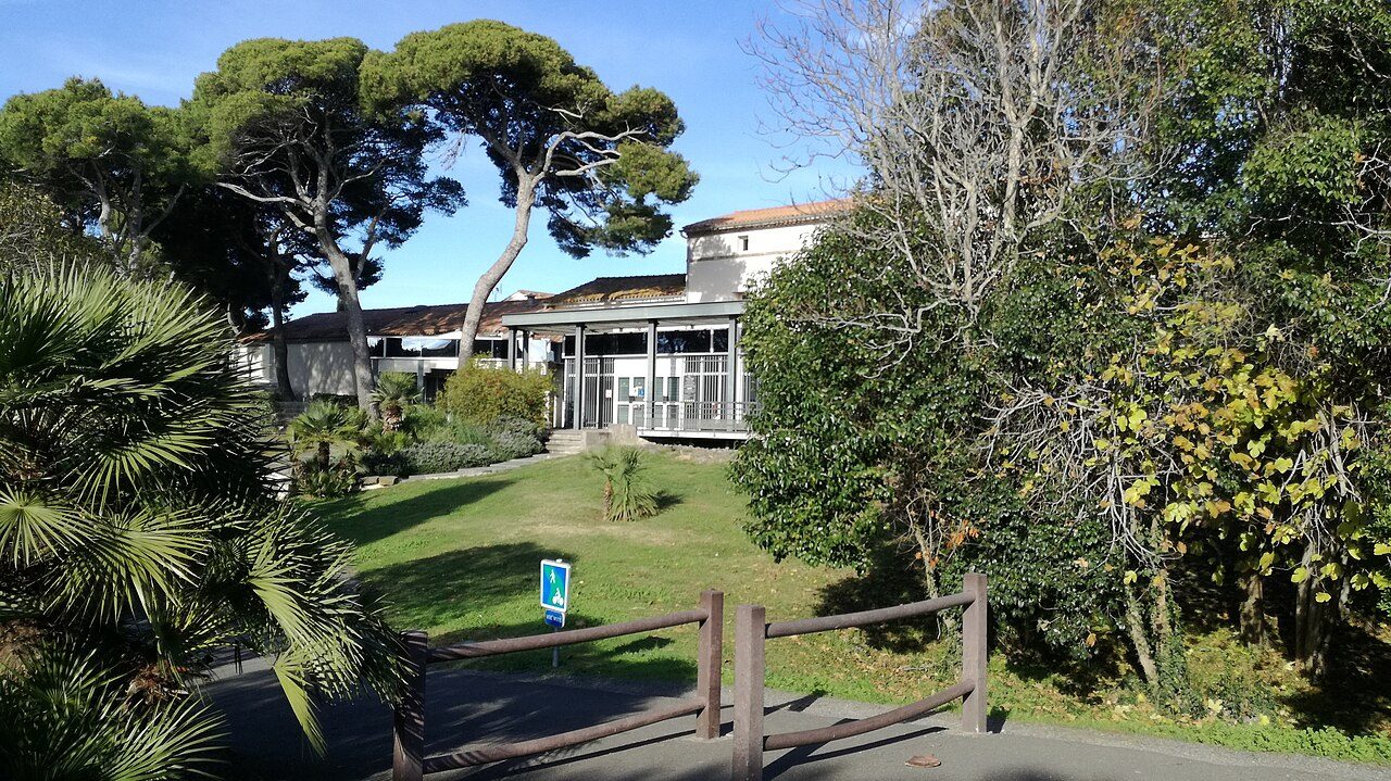 MUSÉE DE L'ÉPHÈBE ET D'ARCHÉOLOGIE SOUS-MARINE à Agde