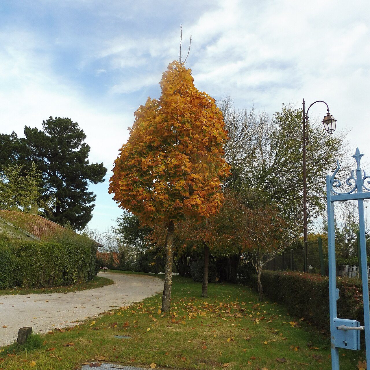 Parc Mauresque à Arcachon