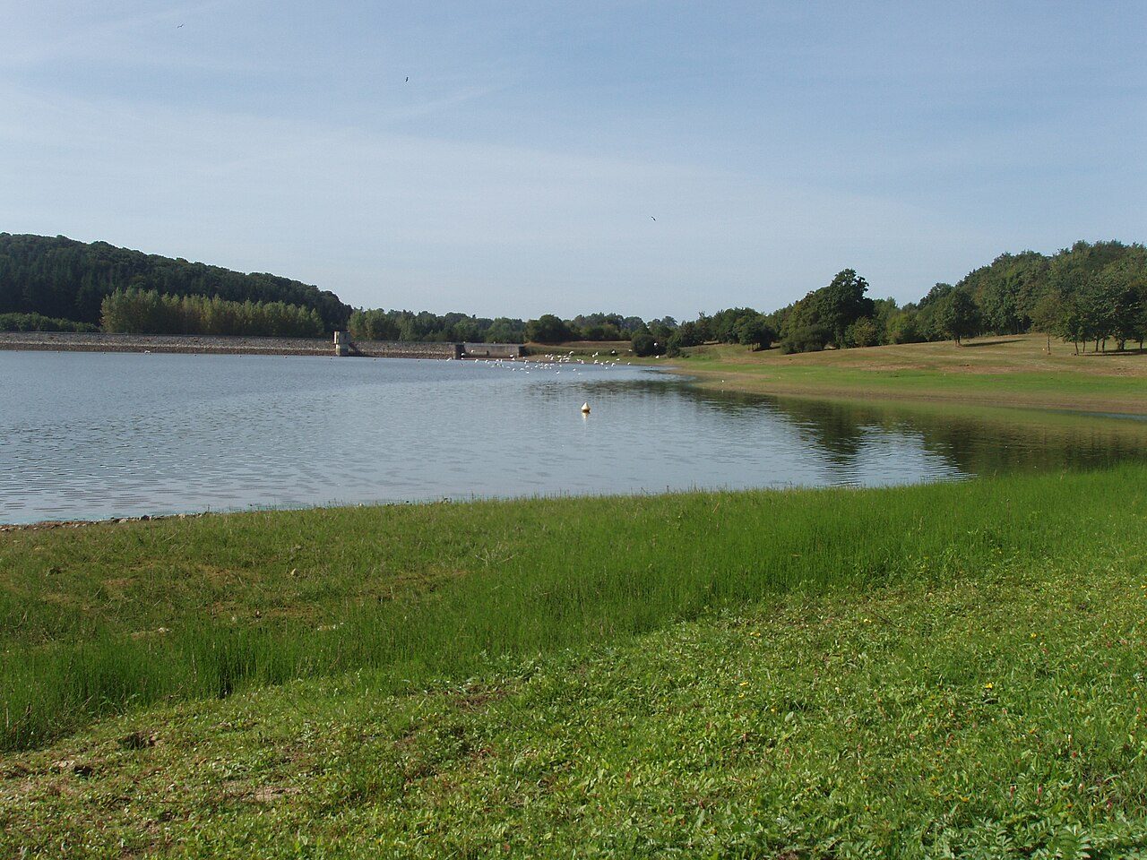 Lac de la Haute-Vilaine à Saint-M'Hervé