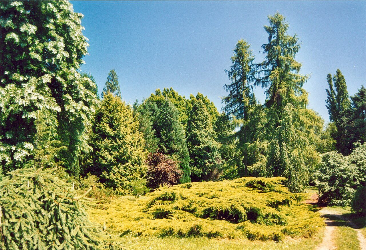 Arboretum National des Barres à Nogent-sur-Vernisson