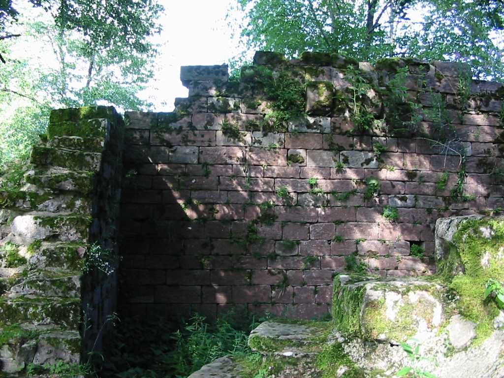 Château des comtes de Salm