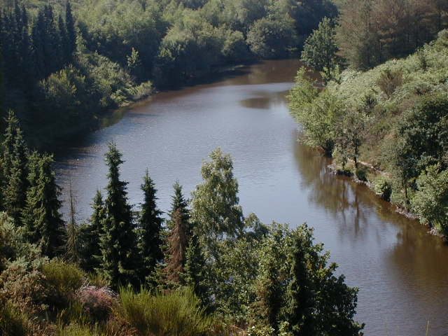 Le vallon de la Chambre au Loup à Iffendic