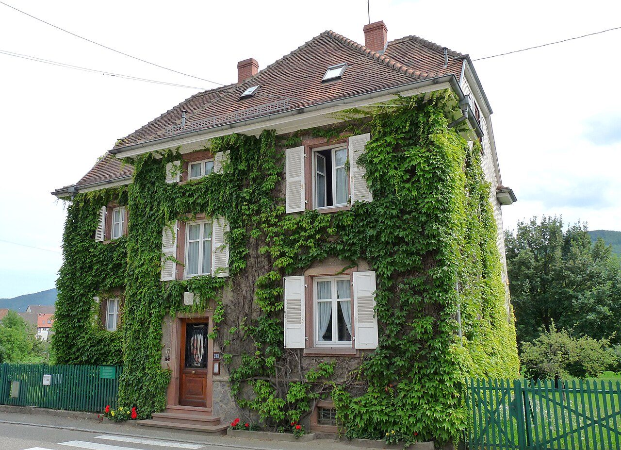 Maison Albert Schweitzer à Gunsbach