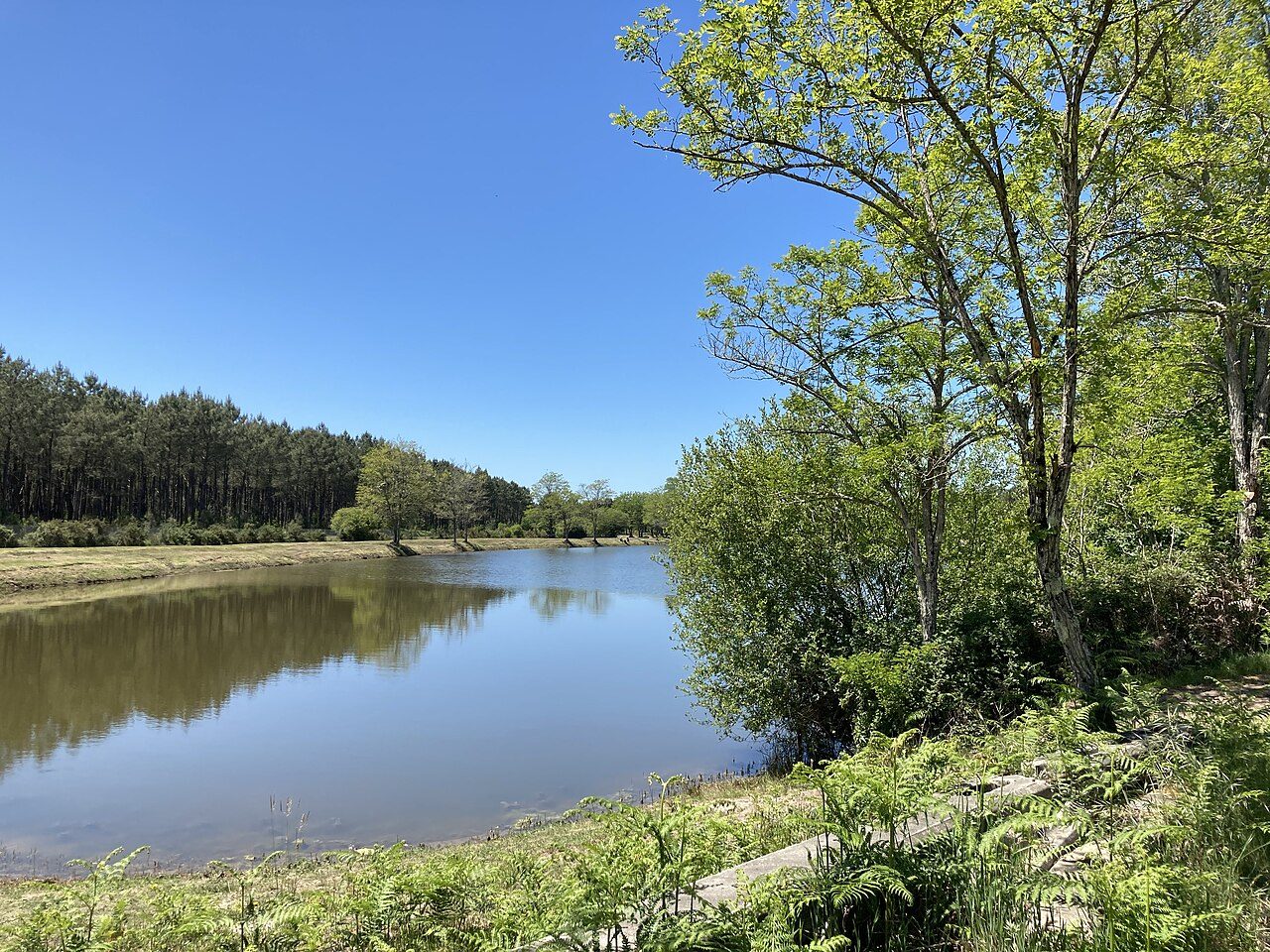 Etang de la Levade à Sainte-Hélène