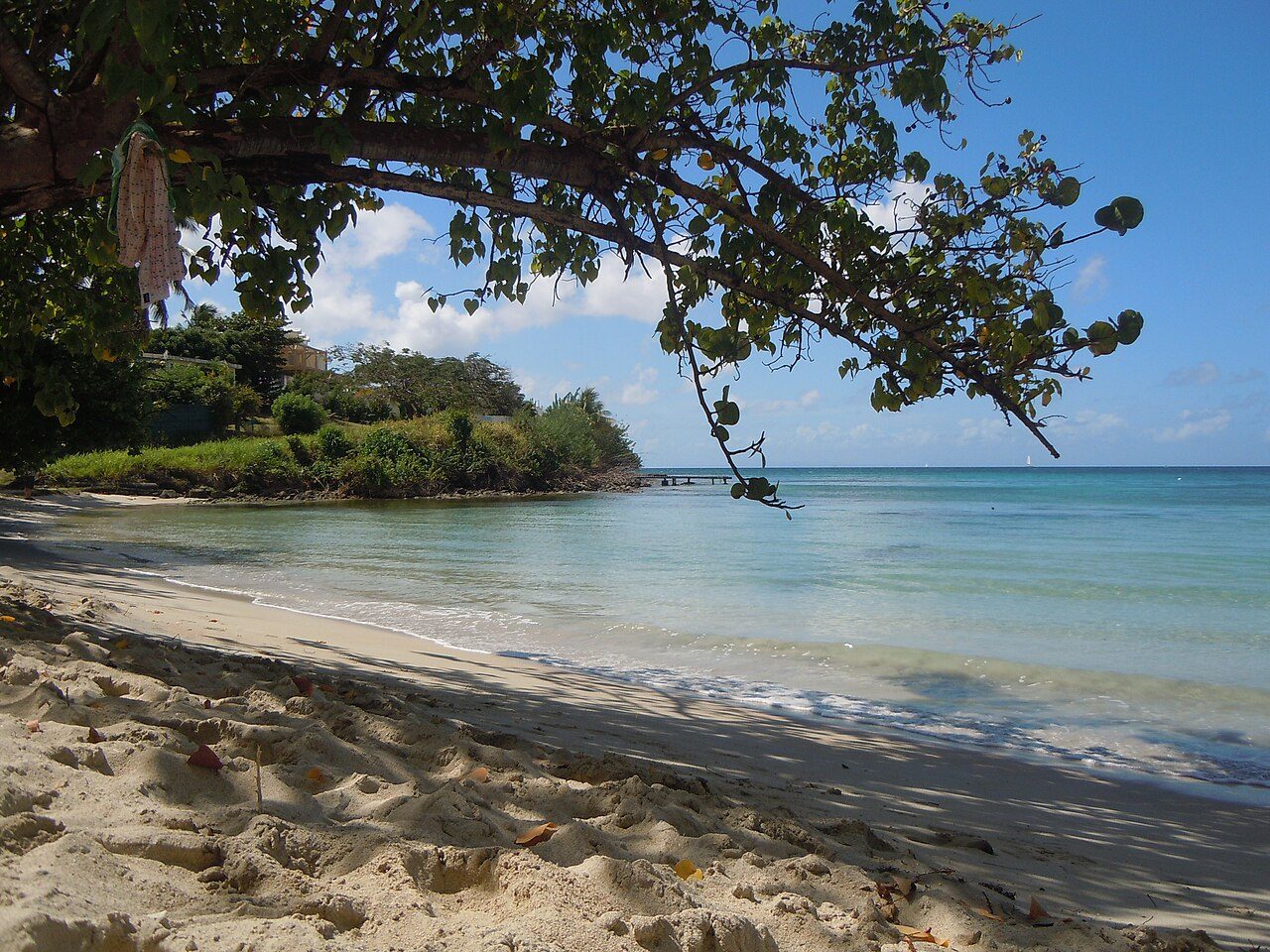 ANSE MABOUYA à Sainte-Luce