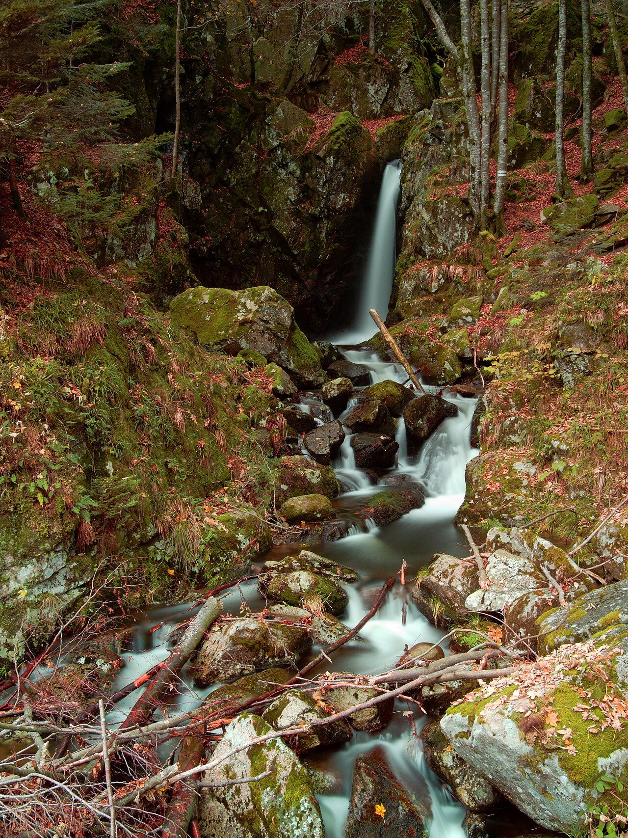 Saut de la Truite à Lepuix