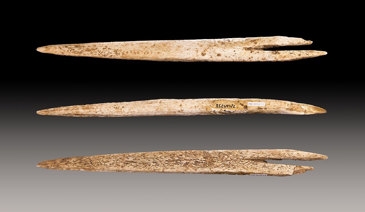 Grottes Préhistoriques d'Isturitz et d'Oxocelhaya à Saint-Martin-d'Arberoue
