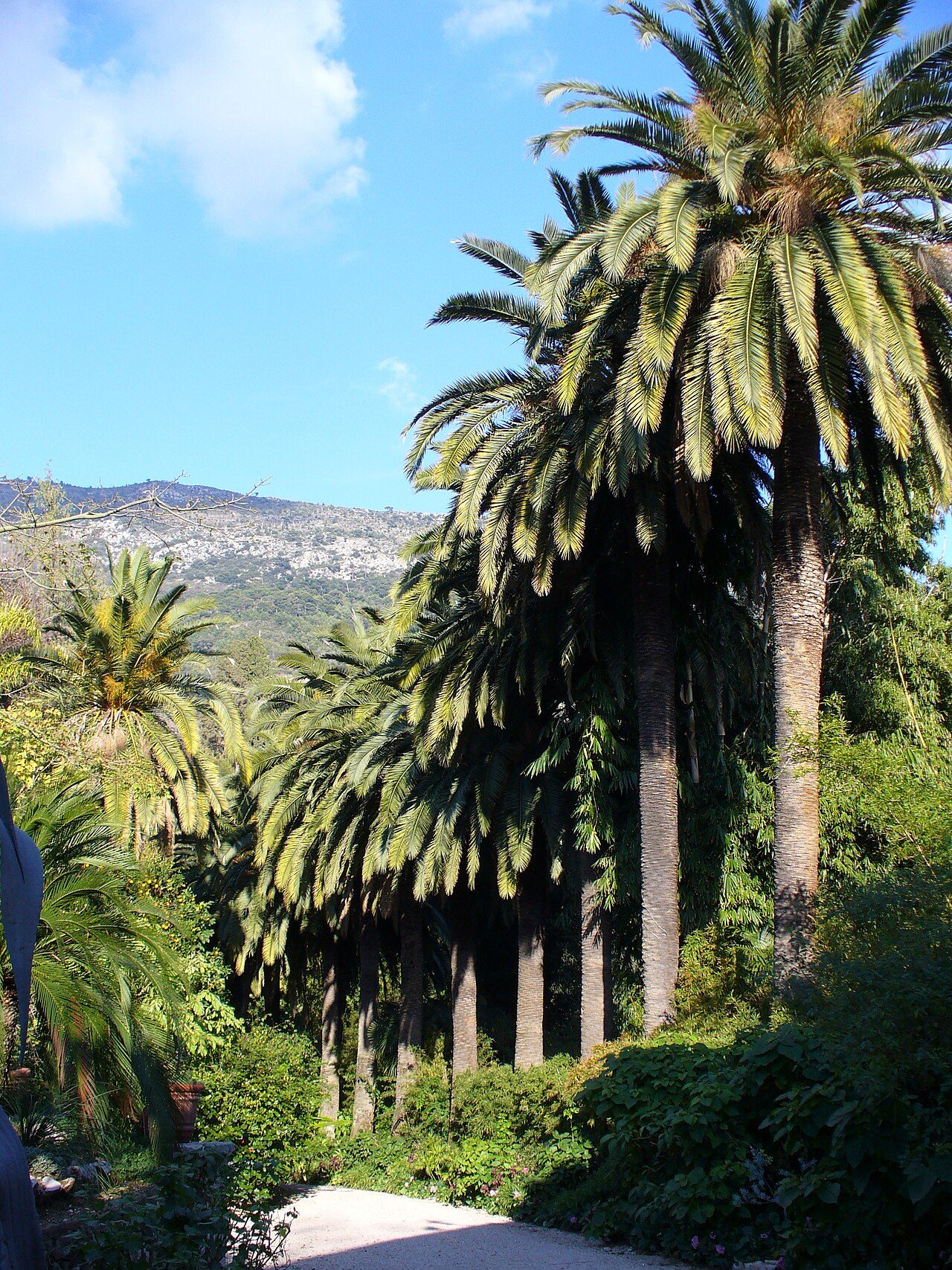 Jardin botanique Val Rahmeh-Menton