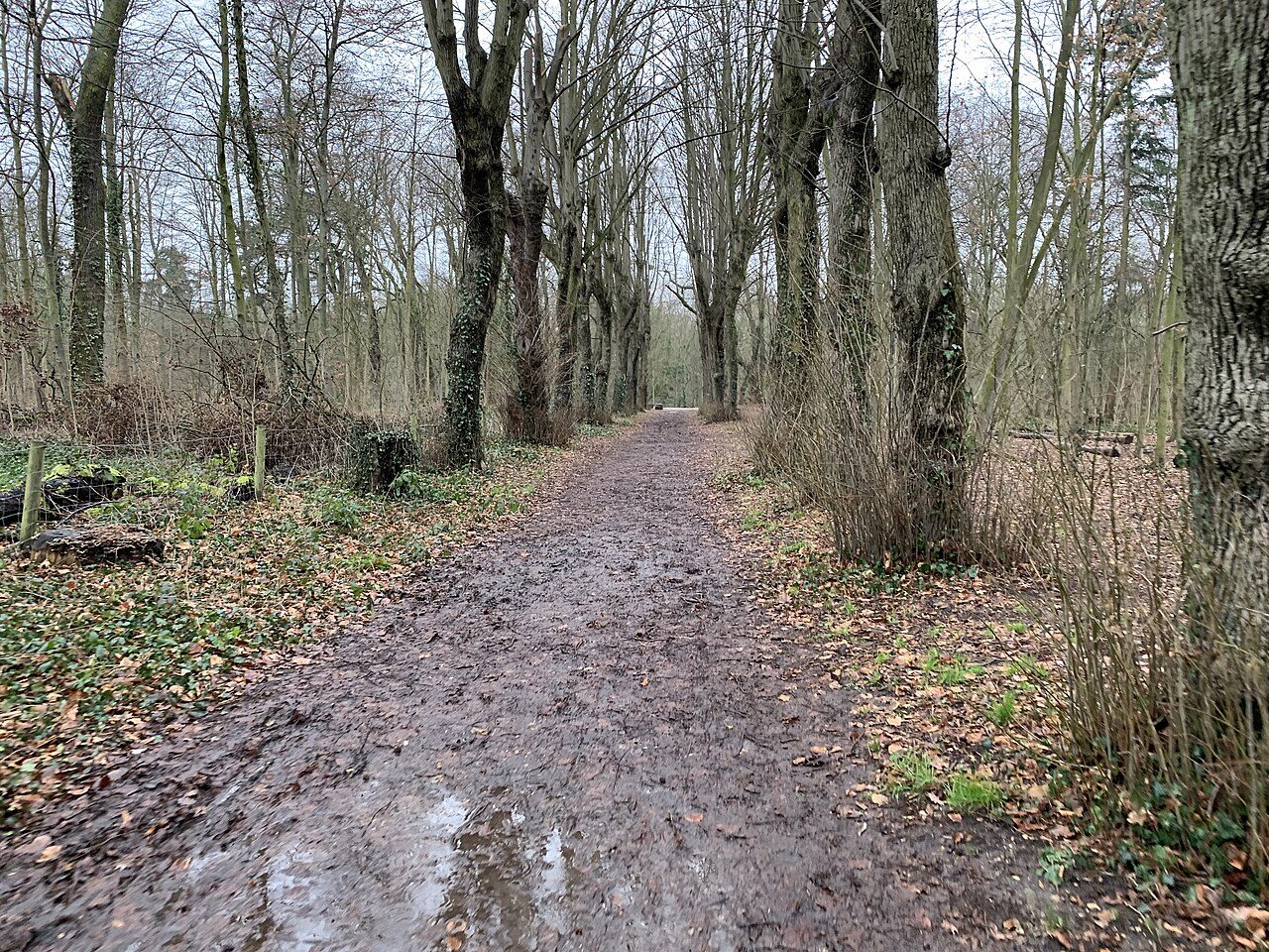 Bois de Vincennes à Paris