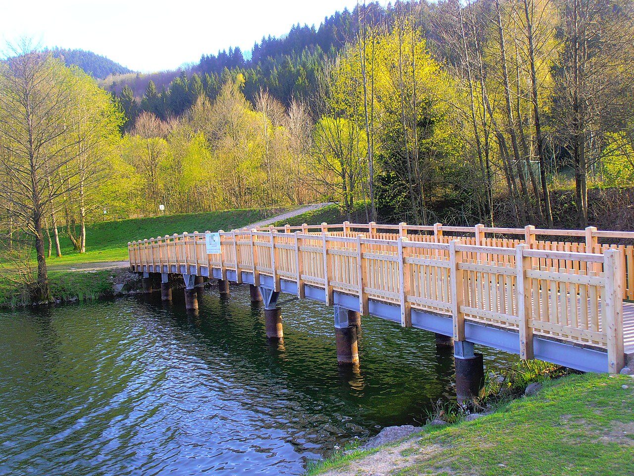 Lac de la Moselotte