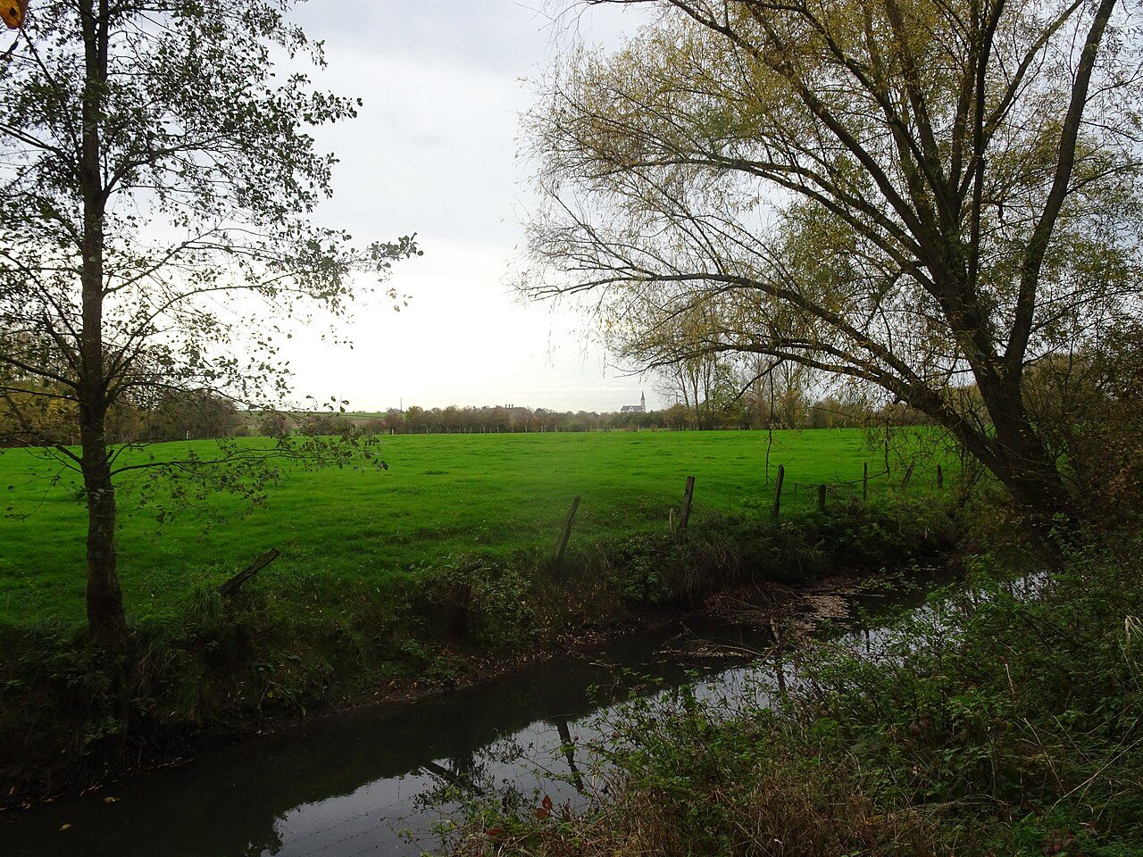 Bois d'Infière à Gruson