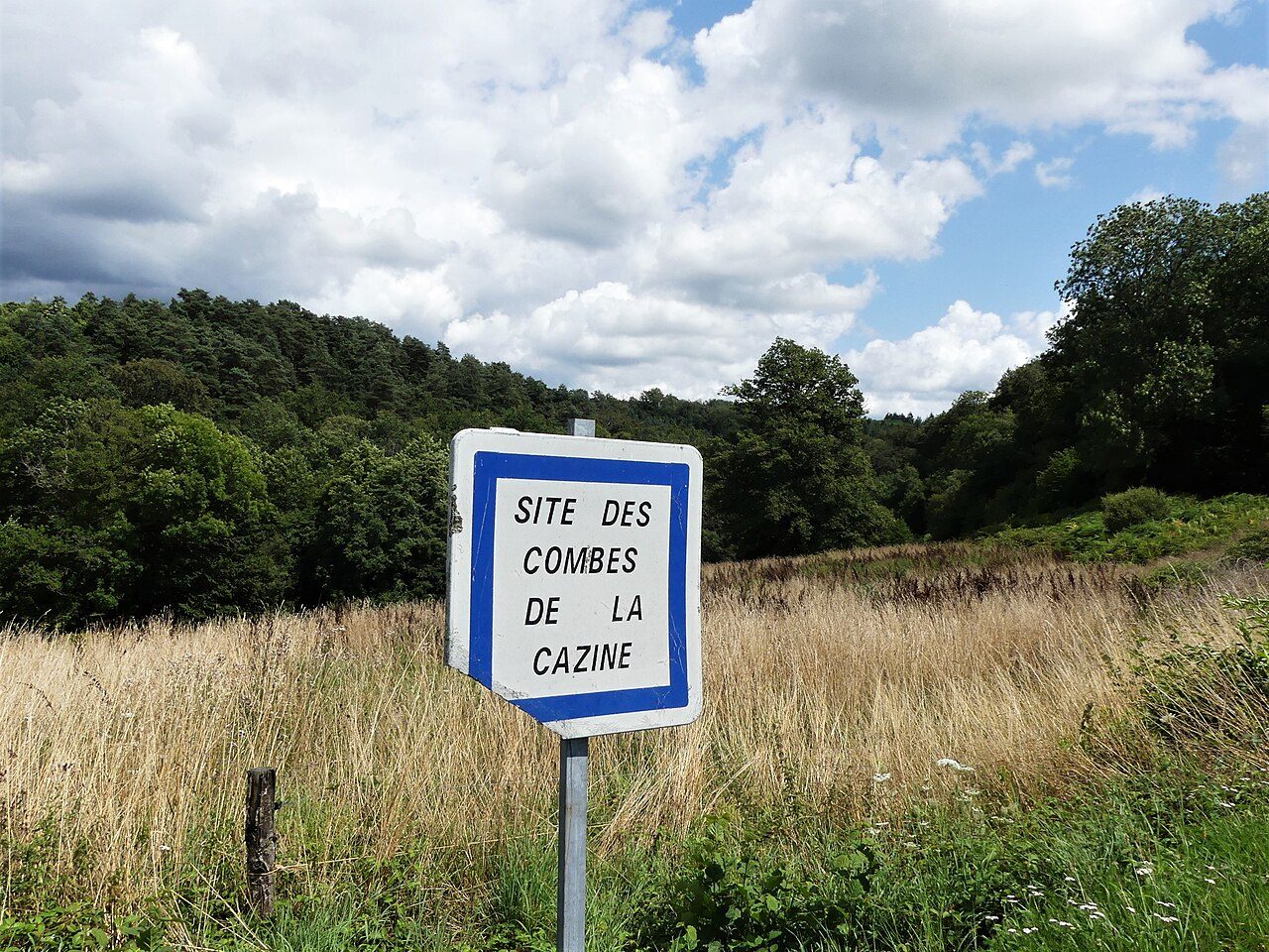 Les combes de la Cazine à Colondannes
