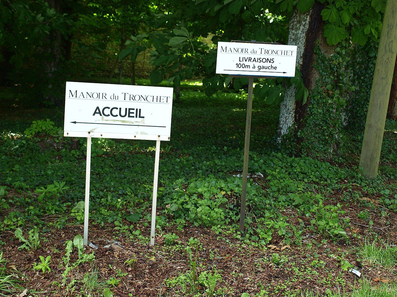 Manoir du Tronchet