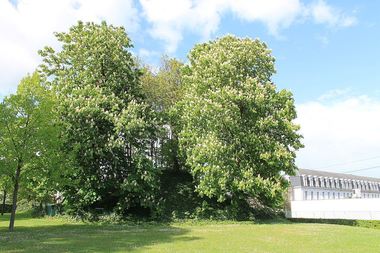 Parc Michel d'Ornano